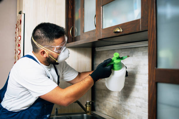 Best Best Pest Control Companies  in Malvern, OH