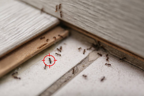 Best Commercial Pest Control Services  in Malvern, OH