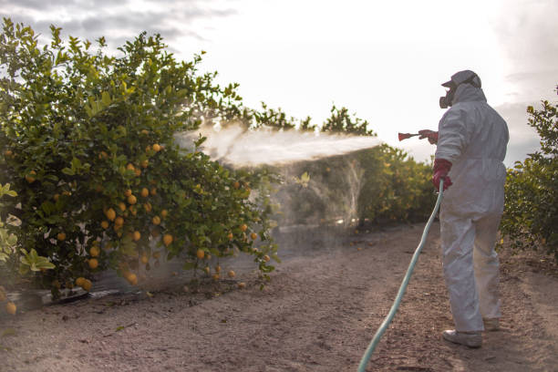 Best Affordable Pest Control Services  in Malvern, OH