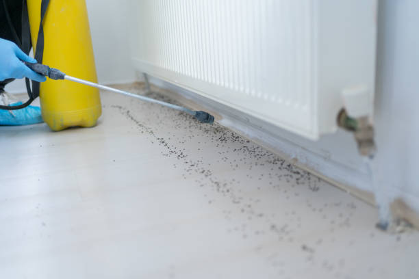 Best Bed Bug Extermination  in Malvern, OH